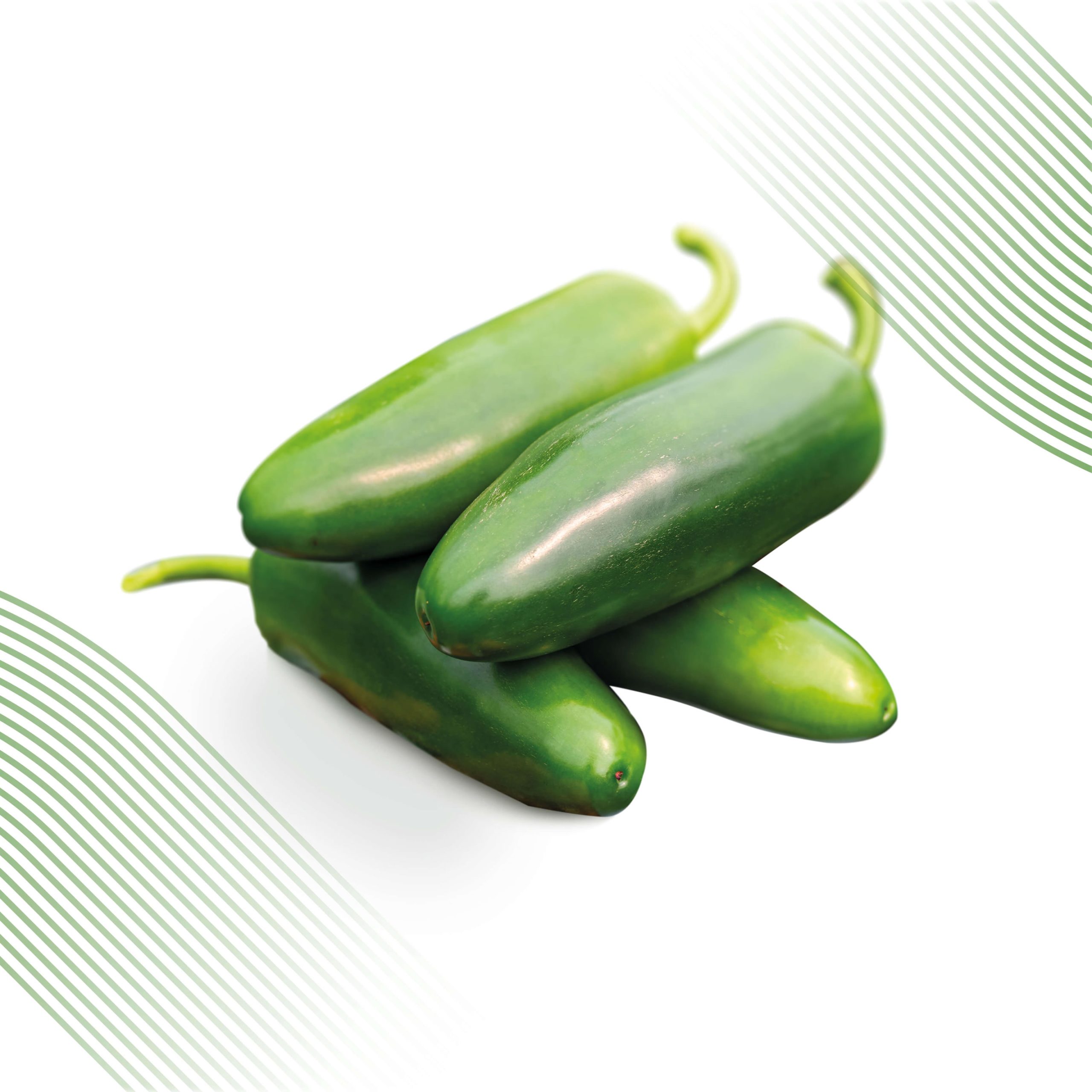 NAVOLATO