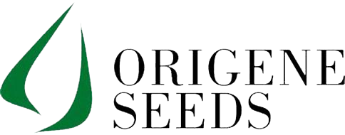 ORIGENE SEEDS