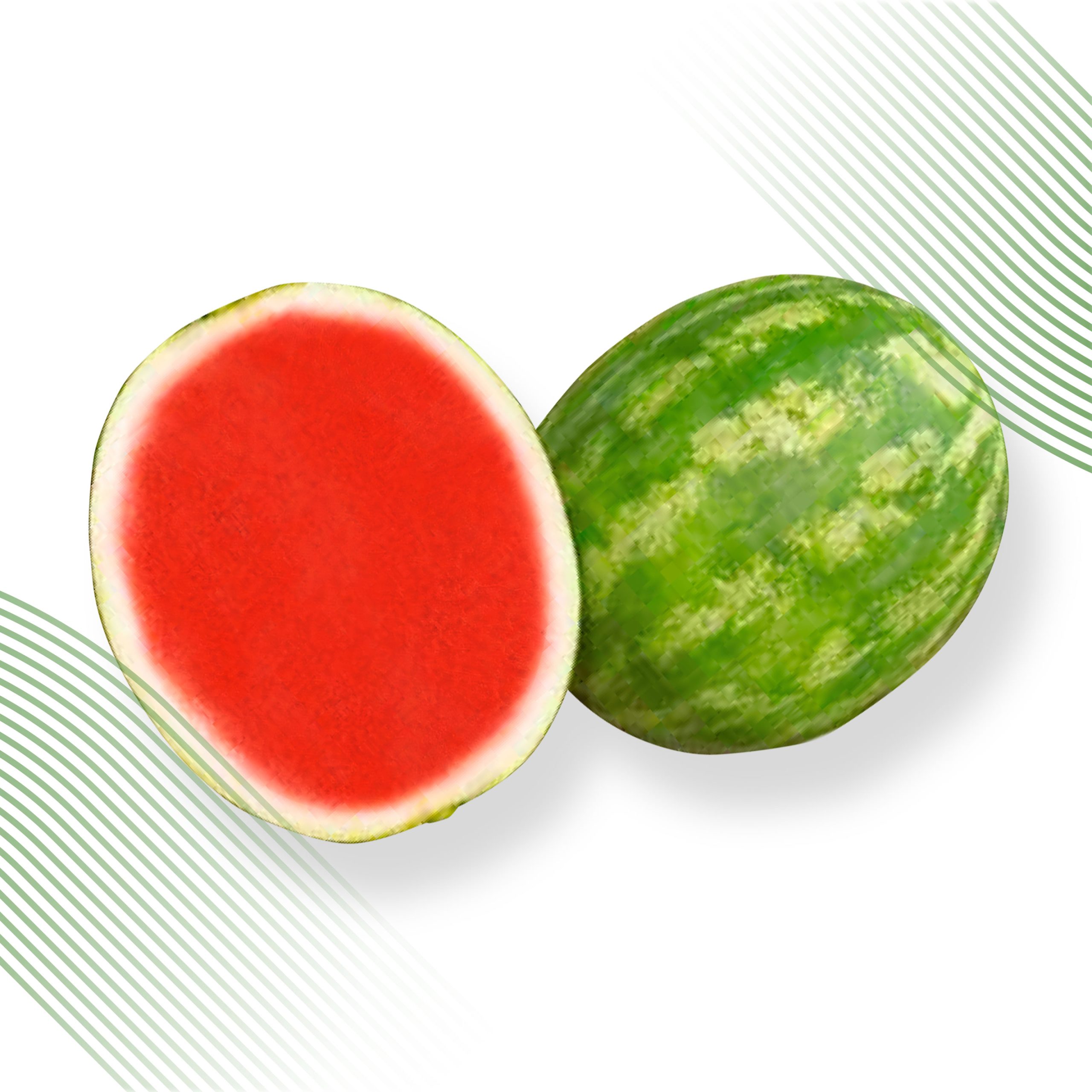 SUGAR RED