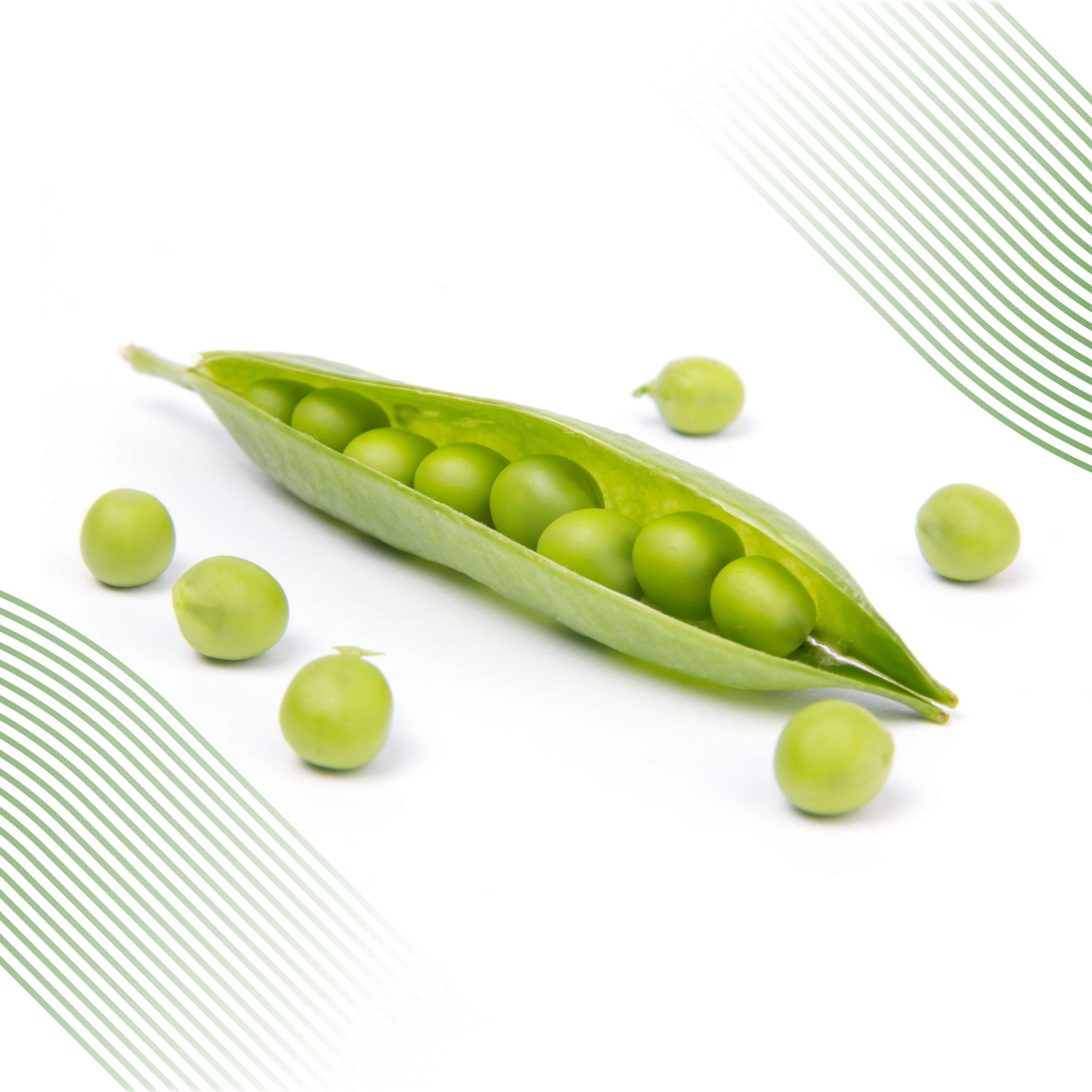 SUPER SUGAR SNAP